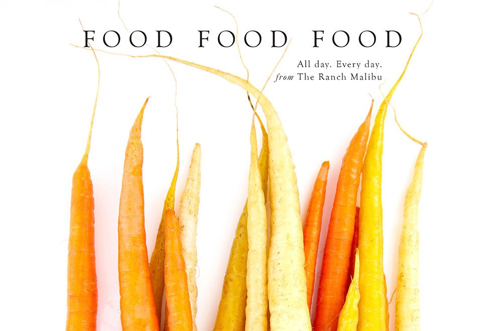 Food Food Food book cover
