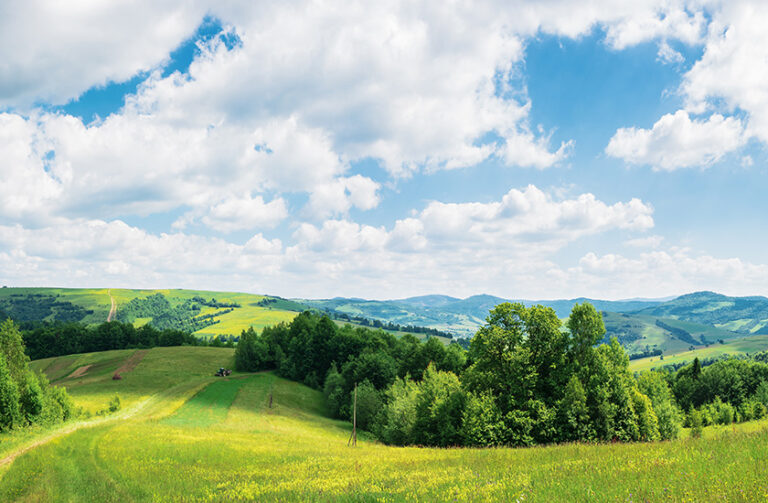 Sentient Jet Issues Annual Sustainability Update, Reaffirming Commitment to Carbon Offsetting
