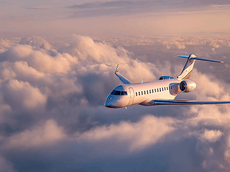 Sherpa Report: New Large Cabin Edition Card From Sentient